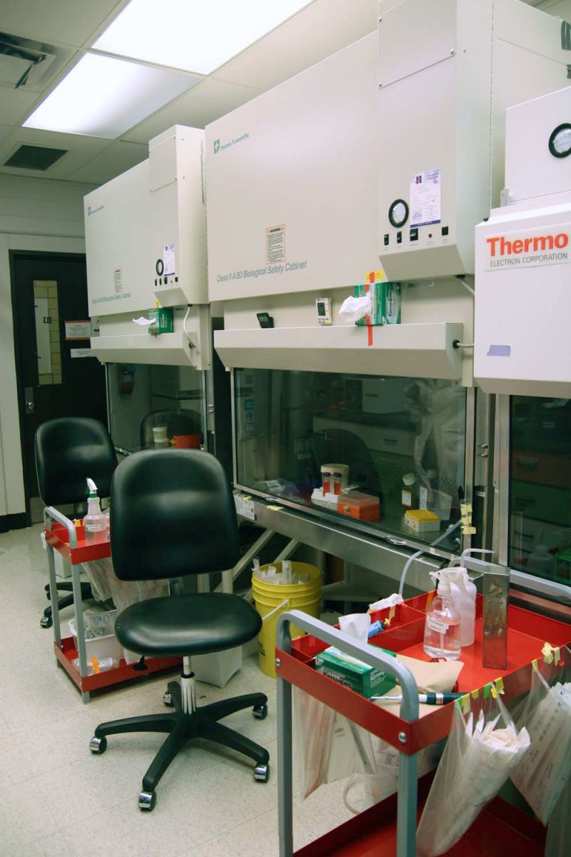 BioZone Facilities & Equipment - BioZone | BioZone
