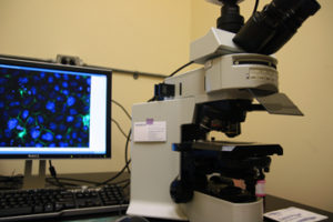 BZ_microscope1