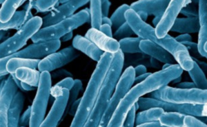 Blue Microbes